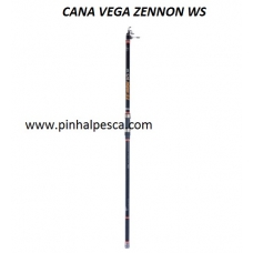 Cana Vega Zennon SW 450 ( Telesurf )